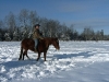 Around The Farm - Barn to be Wild!