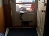 Eddie makes sure Dil doesn't escape