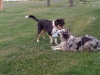 iphonepix-045.jpg
