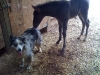 iphonepix-063.jpg