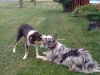 iphonepix-079.jpg