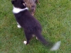 iphonepix-096.jpg