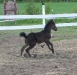 Chaos showing off