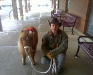 A cowboy and his steed