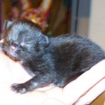 M&M 1 day old M&M