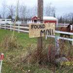 Mini found! Sign of the times for last Saturday night