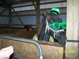 Chaos dresses up for Halloween at Raindance Farms, LLC