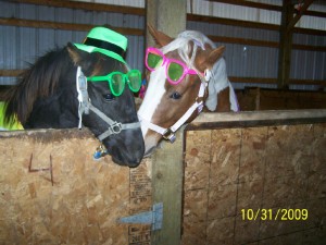 Chaos& Layla dressed up for Halloween at Raindance Horse Co., LLC