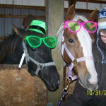 Chaos & Layla & Paula for Halloween One of these beings is not a horse.