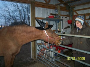 Miste goes as a witch for Halloween at Raindance Farms, LLC
