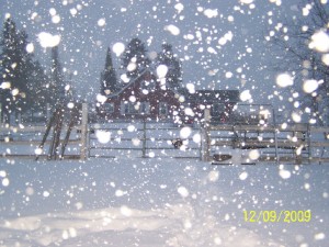Merry Christmas from Raindance Farms, South Range, WI