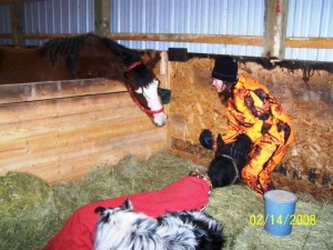 Barn mom Dance looks in on Windchill