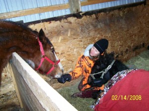 Windchill and friends