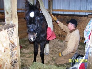 Windchill and Gary Niemi