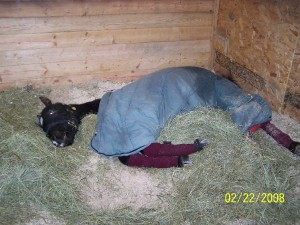 WindchillsleepsinFeb22 Windchill sleeps in