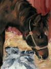 Windchill & Walker by Deborah Sprague