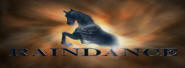 Raindance Horse Company, LLC