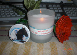 Candles for rescue colt WindChill